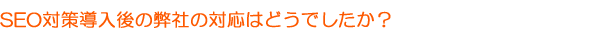 SEO対策導入後の弊社の対応はどうでしたか?