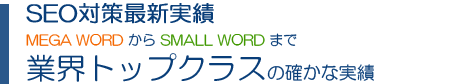 SEO対策最新実績 MEGA WORD から SMALL WORD まで 業界トップクラスの確かな実績